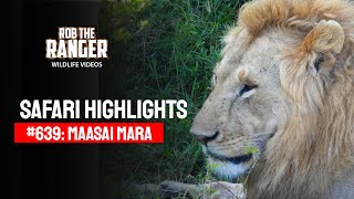 Safari Highlights #639: 21st September 2021 | Maasai Mara/Zebra Plains | Latest #Wildlife Sightings