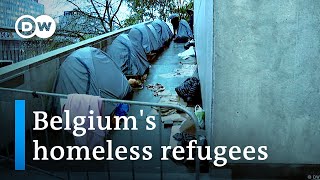 Refugees are forced to sleep on the street in Belgium | Focus on Europe