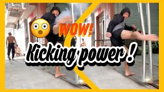 Kicking Power #shorts #Wushu #KungFu