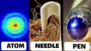 Objects Under an Electron Microscope | (PART-1)