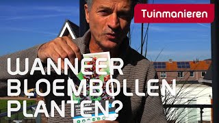 Wanneer zet je je bloembollen in tuin of bak? | Tuinieren in de herfst | Tuinmanieren