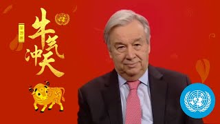 Happy Lunar New Year 2021 (Year of the Ox) - UN Chief