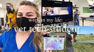 WEEK IN MY LIFE: Vet Tech Student Vlog | Penn Foster Educational Videos