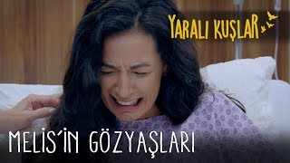 Melis'in gözyaşları | Yaralı Kuşlar 127. Bölüm