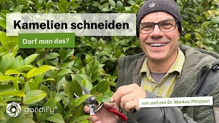 Kamelien schneiden: Darf man das? Tipps für prachtvolle Blüten und gesunde Sträucher!