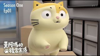 黃阿瑪的後宮生活 第1季 第1集【剛搬新家就出事】｜#同名動畫 Fumeancats, Season One, Ep01