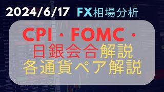 【FX先出解説】経済指標解説・ドル円・カナダ円・ユーロドル先出シナリオ(ドル円・ユーロドル・その他通貨ペア解説)#fx #投資 #先出しシナリオ