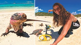 Metal Detecting Iguana Beach (Awesome Finds)