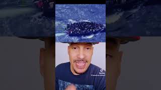 Haitians Caught Fleeing & Asian Audacity