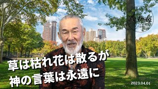 「草は枯れ花は散るが神の言葉は永遠に」THE DAILY with Arthur Hollands 2023/04/01