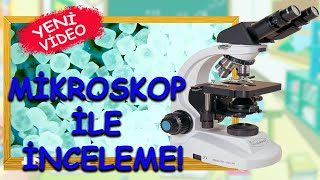 MİKROSKOP ile İnceleme Videosu - Çocuklar İçin