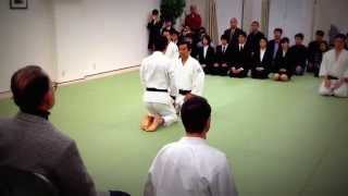 Freestyle Aikido by Blackbelt Instructors Renshinkai Hombu 2012