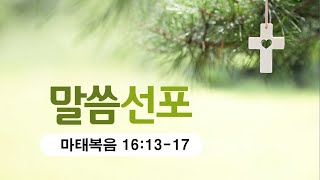 2024년 11월 3일 '너희는 나를 누구라 하느냐' (마태복음 16:13-17)