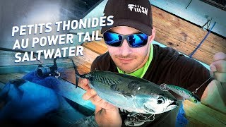 Fiiish - Pêche des petits thonidés au POWER TAIL SALTWATER