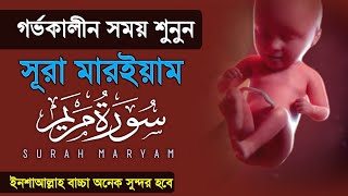 ইফতারের আগে সেরা কুরআন তিলাওয়াত । Beautiful Quran Tilawat |রমজানের স্পেশাল তেলাওয়াত | ALAA AQEL