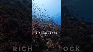 Richelieu Rock, The best dive site of North Andaman, Thailand リチェリューロック