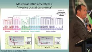 Neil Barth, Agendia: Molecular Subtypes in Breast Cancer Challenging the Clinical Subtyping Paradigm