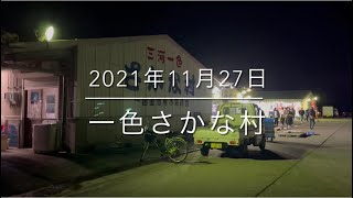 【衝撃個体】極太スズキ(活け)を販売⁉︎『一色さかな村』の本気