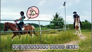 Blinky’s Horse Trail Ride: Kridsadakorn Farm Korat ขี่ม้าเทรล คอกม้ากฤษฎากรณ์ (อุดมซีฟู้ด) ปากช่อง