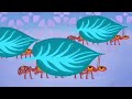 why ants work together tinga tinga tales official full episodes cartoons for kids