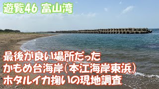 【これぱ！遊覧46】富山県の神秘≪ホタルイカの身投げ≫最後の場所が良きかもめ台海岸（本江海岸東浜）！ホタルイカ掬いの現場調査に行ってきた