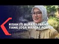 Selain Jago Manjat Pohon, Iti Octavia Buat Kabupaten Lebak Berprestasi