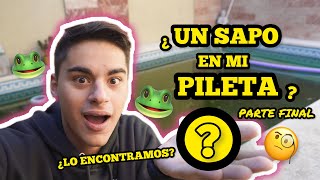 ¿ENCONTRAMOS EL SAPO DE MI CASA?🐸 🤔