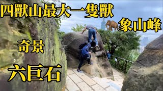 🇹🇼（台灣旅遊回憶》四獸山全部挑戰成功，象山峰人潮最多是外國遊客必訪景點， Four Beasts Mountain, Xinyi District, 《🐷🐔Susan阿嬤旅遊生活-217 》