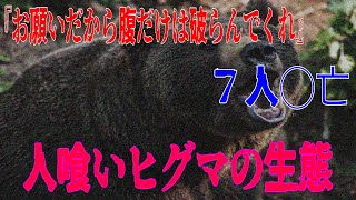 【三毛別羆事件】野生の巨大ヒグマが襲撃し、７人が⚪︎亡した事件！そこから明かされるヒグマの生態とは…？