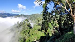 Misty float manjoor to Ooty, Hill view lover