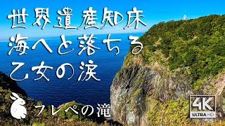 世界遺産の絶景 知床フレペの滝で野生生物に出会う 【北海道の観光スポット】