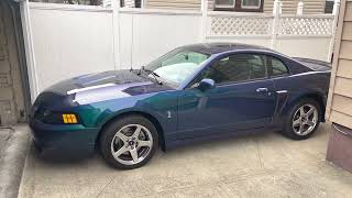 Quick walkaround of my third 2004 Ford Mustang SVT Cobra Mystichrome Terminator