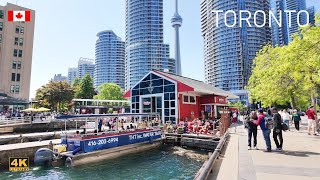 Toronto Canada - Downtown Harbourfront Victoria Day Weekend Sunny Weather Walk 4K