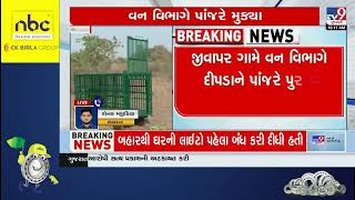 Operation launched to catch fierce leopard near Hirasar Airport | Rajkot | Gujarat | TV9Gujarati