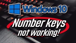 Number Keys not Working in Windows 10 [2024]