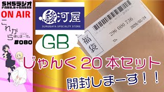 【福袋開封】ゲームボーイ20本！駿河屋じゃんく福袋を開けます！【これ帰#080】