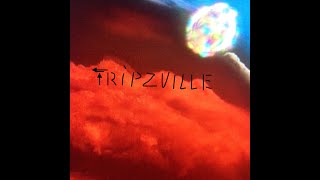 Tripzville - Point Zero