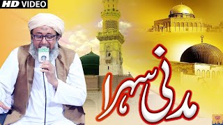 Madni Wedding Sehra |Wedding Sehra | Owais Raza Qadri | Beautiful Wedding 2023 | RizwanStudioIslamic