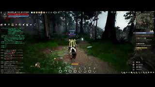 348｛ＰＣ｝覚醒セージLｖ.61　いばらの森　［黒い砂漠Ｒ］＜MMORPG＞ボイス無し