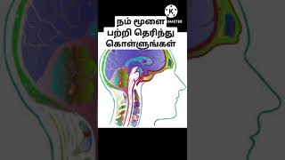 நம் மூளை பற்றி தெரிந்து கொள்ளலாம்#facts about human brain# #shorts