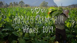 Tobacco Farm Tour Viñales 2019