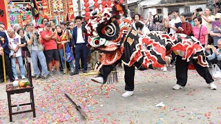 香港獅子舞の技！武闘の獅子舞！