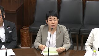 徹底的な外交努力を　大軍拡路線を批判　2023.5.17