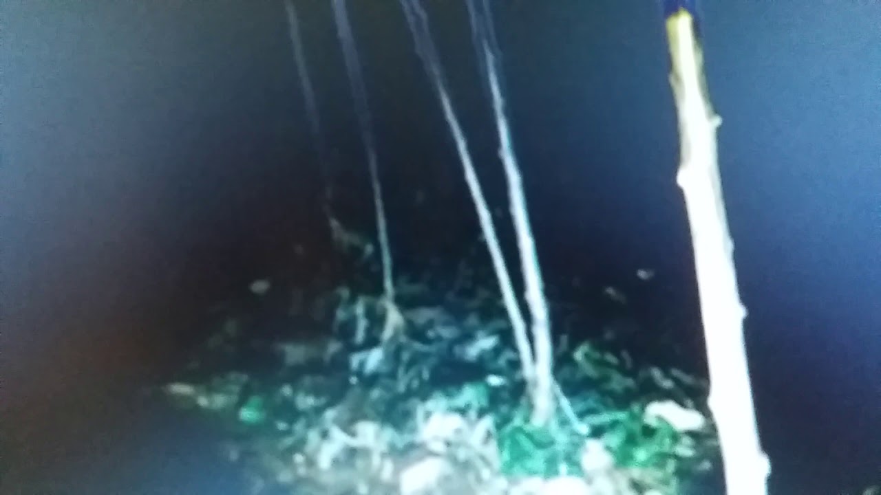 Pocong Terbang Youtube