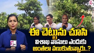 LIVE : ఆ చెట్టుని చుస్తే వణికిపోతున్న విశాఖ వాసులు | Devil Tree | Visakhapatnam @sumantvrajahmundry