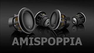 Amispoppia - Bass Beats Melody