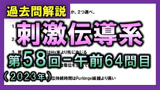 【過去問解説：第58回国家試験-午前64問目】刺激伝導系【理学療法士・作業療法士】