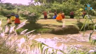 Muthayala Chamma Chakkalu Muggulu Veya Video Song - Muvva Gopaludu