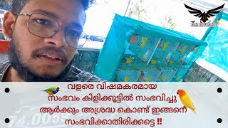 വളരെ വിഷമകരമായ സംഭവം കിളിക്കൂട്ടിൽ സംഭവിച്ചു ? SAD INCIDENT😭 ചിലവുചുരുക്കി പണിഞ്ഞ കൂടിന്റെ UPDATE |