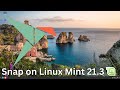 How to Install Snap on Linux Mint 21.3 | Installing Snap on Linux Mint 21.3